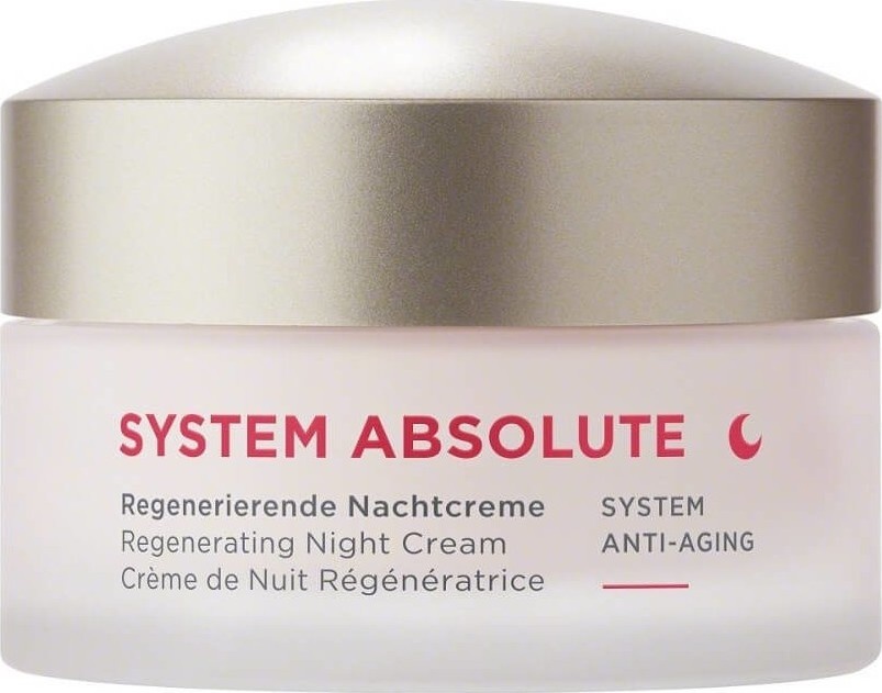 Annemarie Börlind SYSTEM ABSOLUTE Regenerating Night Cream