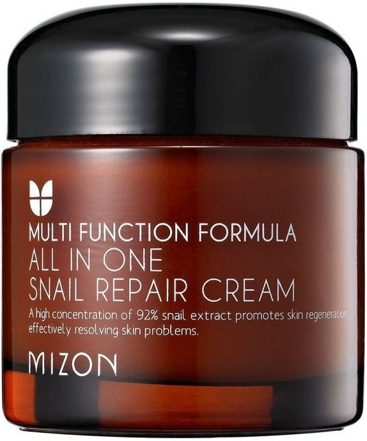 Mizon Multi Function Formula All in One Snail Repair Cream