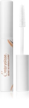 Embryolisse Artist Secret Lashes & Brows Booster