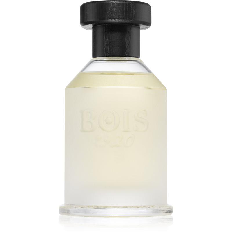 Bois 1920 Classic 1920 parfumovaná voda unisex 