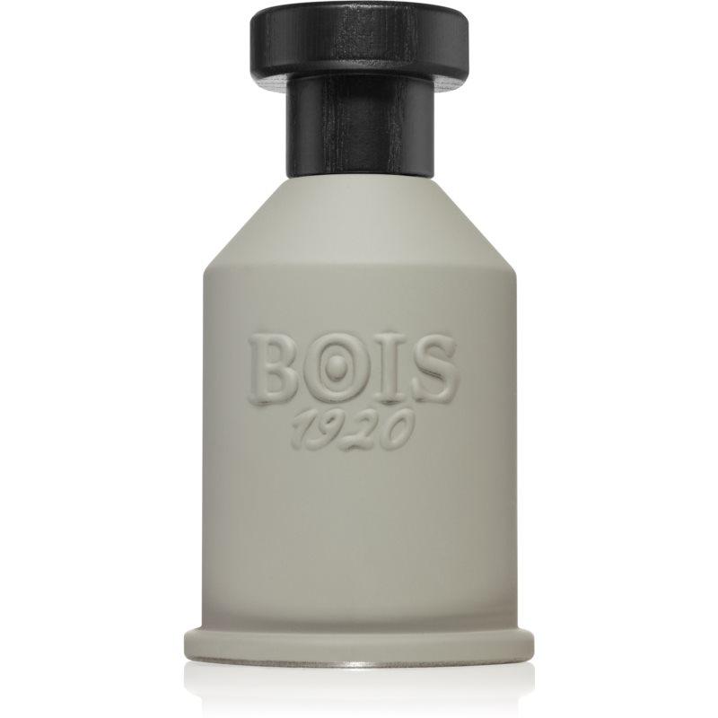 Bois 1920 Itruk parfumovaná voda unisex 