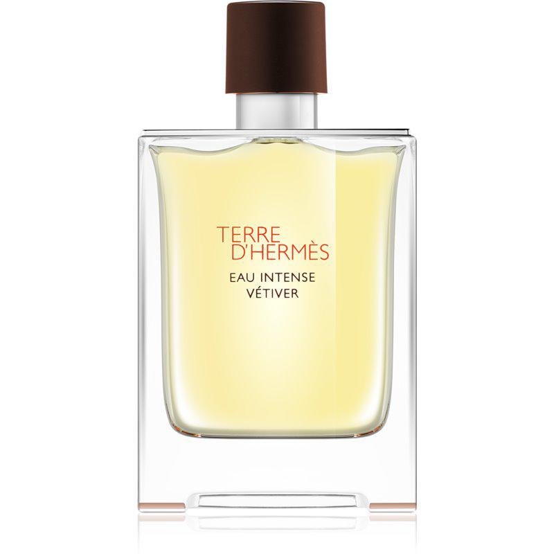 Hermès Terre d'Hermès Eau Intense Vétiver parfumovaná voda pre mužov 