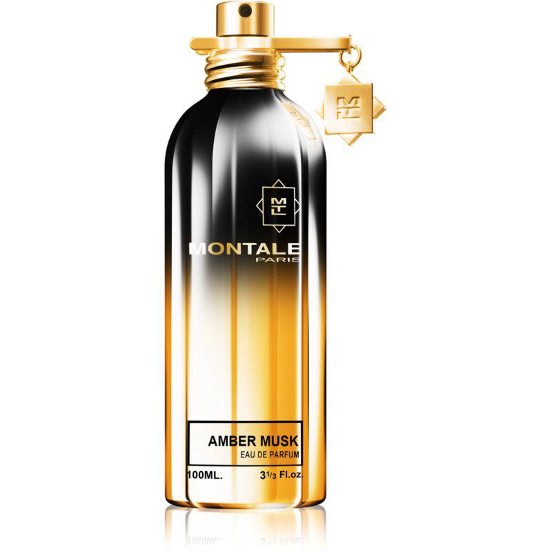 Montale Amber Musk parfumovaná voda unisex 