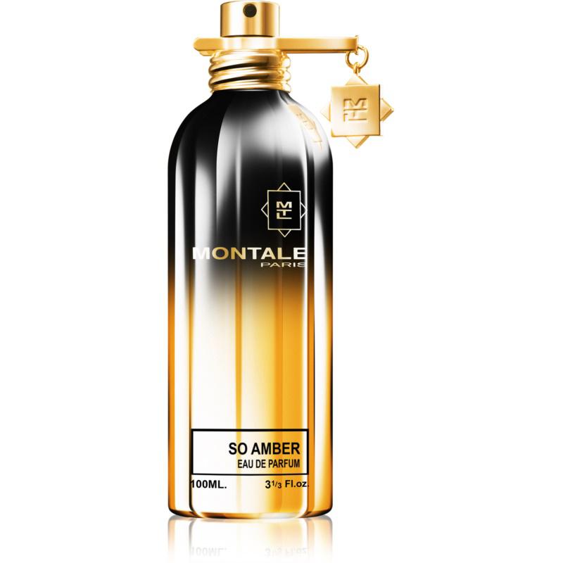 Montale So Amber parfumovaná voda unisex 