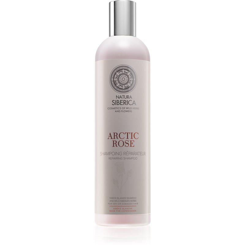 Natura Siberica Copenhagen Arctic Rose regeneračný šampón pre suché a poškodené vlasy 