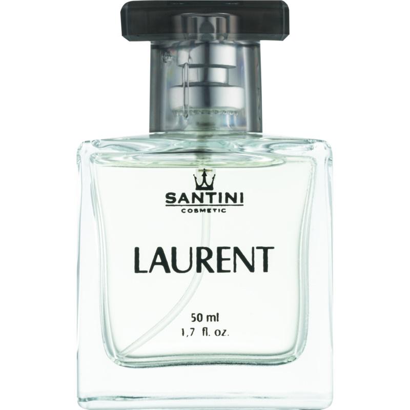 SANTINI Cosmetic Laurent parfumovaná voda pre mužov 
