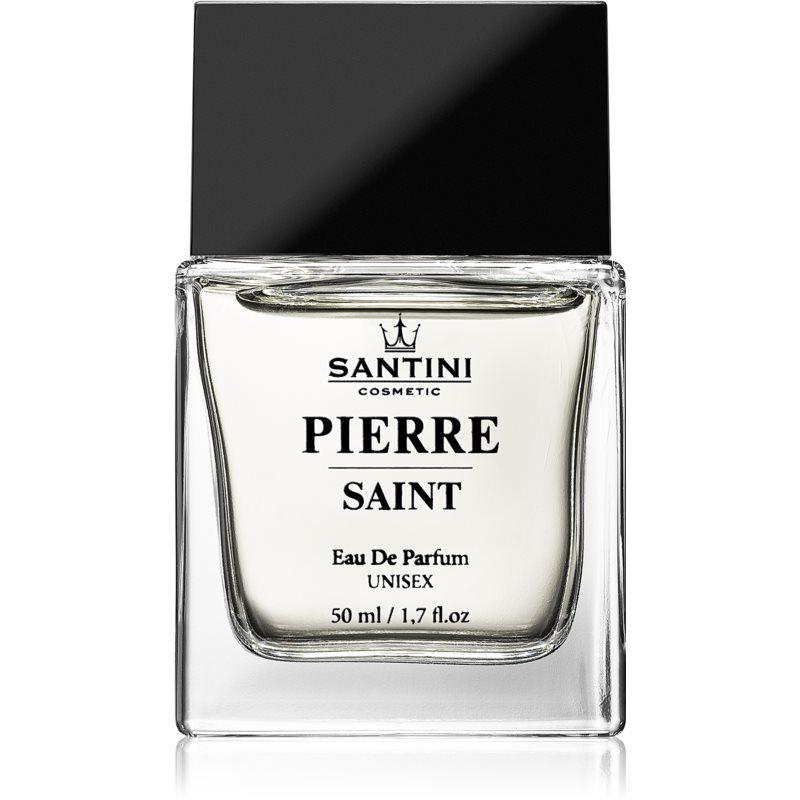 SANTINI Cosmetic Pierre Saint parfumovaná voda unisex 