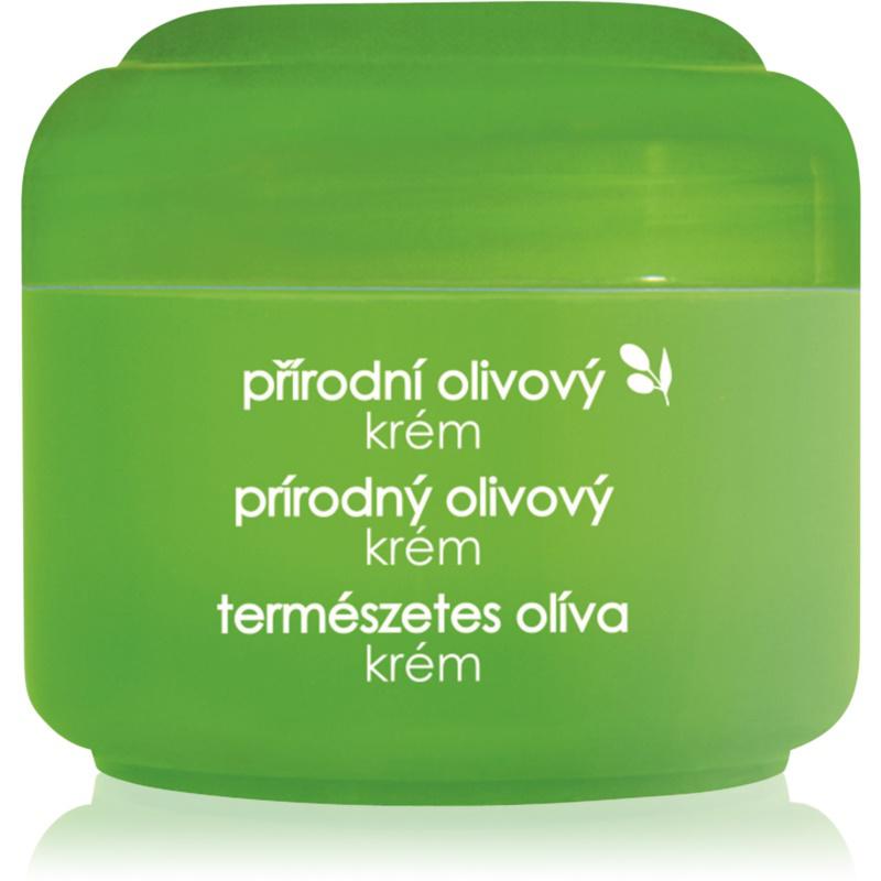 Ziaja Natural Olive krém pre normálnu a suchú pleť 